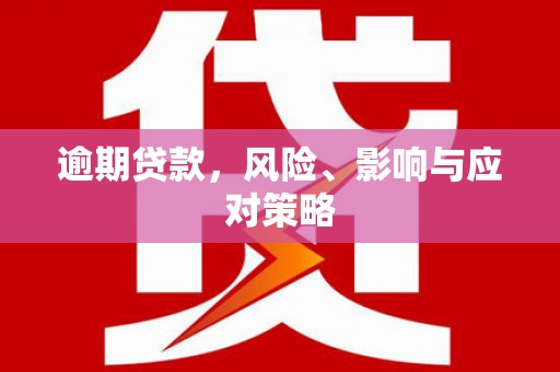 阜宁逾期贷款，风险、影响与应对策略