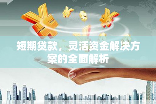 阜宁短期贷款，灵活资金解决方案的全面解析