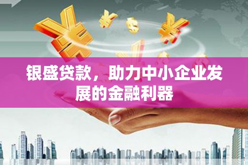 阜宁银盛贷款，助力中小企业发展的金融利器