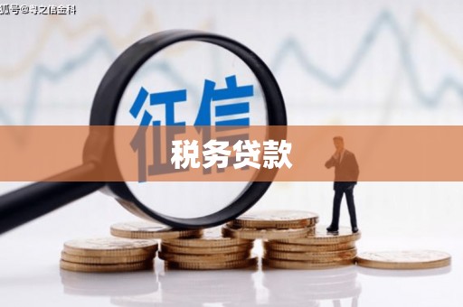 阜宁税务贷款