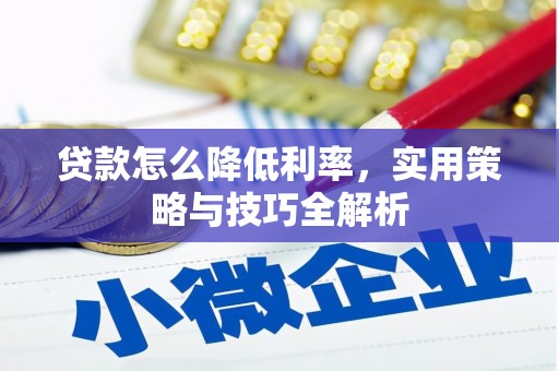 阜宁贷款怎么降低利率，实用策略与技巧全解析