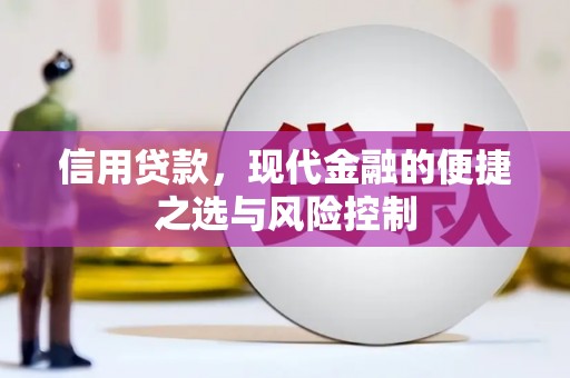 阜宁信用贷款，现代金融的便捷之选与风险控制