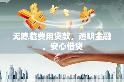 阜宁无隐藏费用贷款，透明金融，安心借贷