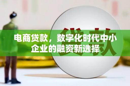 阜宁电商贷款，数字化时代中小企业的融资新选择