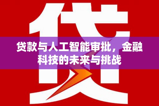 阜宁贷款与人工智能审批，金融科技的未来与挑战