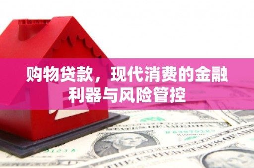 阜宁购物贷款，现代消费的金融利器与风险管控