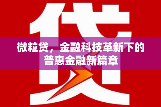 阜宁微粒贷，金融科技革新下的普惠金融新篇章