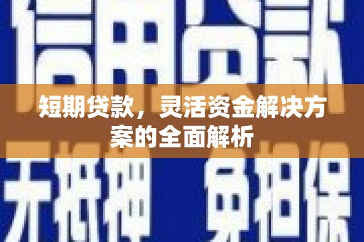 阜宁短期贷款，灵活资金解决方案的全面解析