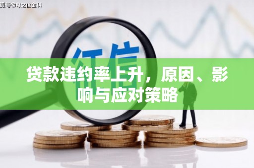 阜宁贷款违约率上升，原因、影响与应对策略
