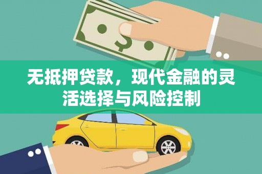 阜宁无抵押贷款，现代金融的灵活选择与风险控制