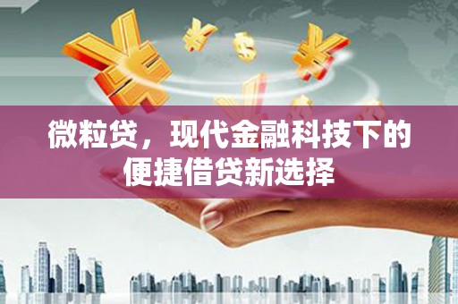 阜宁微粒贷，现代金融科技下的便捷借贷新选择