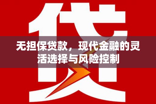 阜宁无担保贷款，现代金融的灵活选择与风险控制