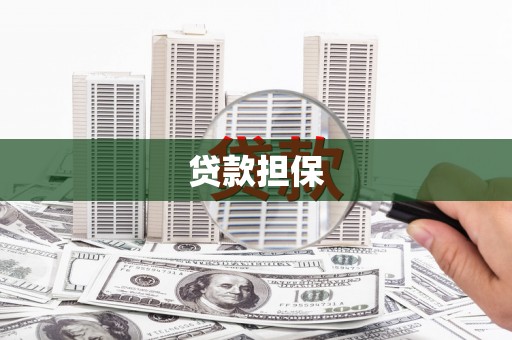 阜宁贷款担保