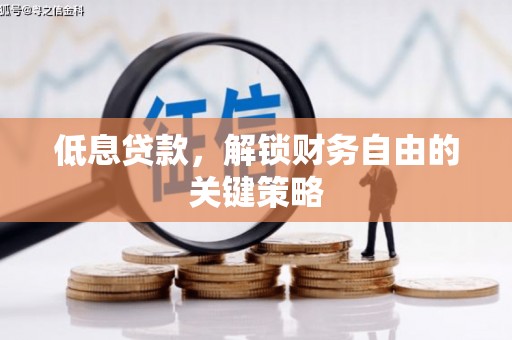 阜宁低息贷款，解锁财务自由的关键策略