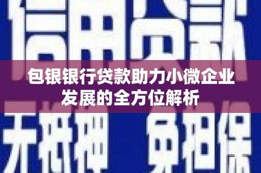 阜宁包银银行贷款助力小微企业发展的全方位解析