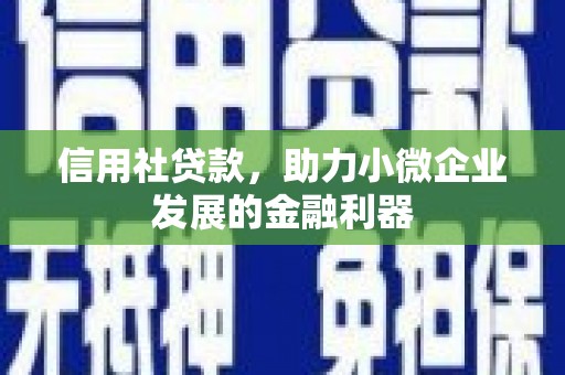 阜宁信用社贷款，助力小微企业发展的金融利器