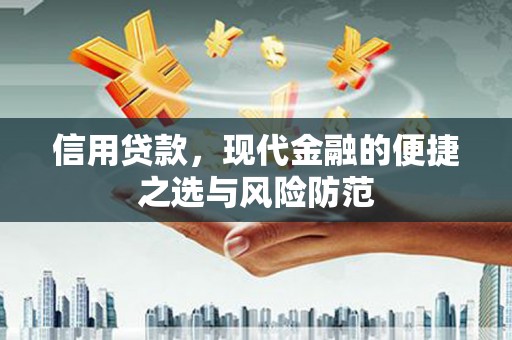 阜宁信用贷款，现代金融的便捷之选与风险防范
