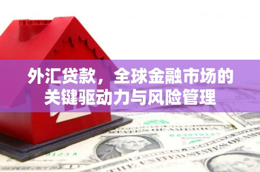阜宁外汇贷款，全球金融市场的关键驱动力与风险管理