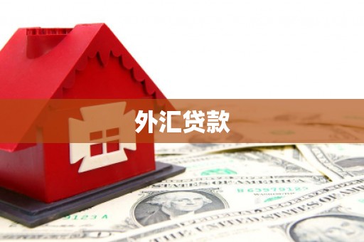 阜宁外汇贷款