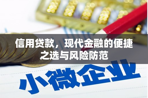 阜宁信用贷款，现代金融的便捷之选与风险防范
