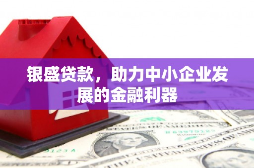 阜宁银盛贷款，助力中小企业发展的金融利器