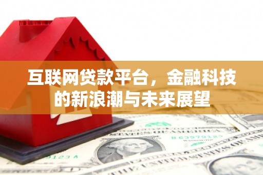 阜宁互联网贷款平台，金融科技的新浪潮与未来展望