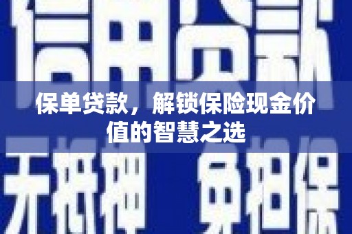 阜宁保单贷款，解锁保险现金价值的智慧之选