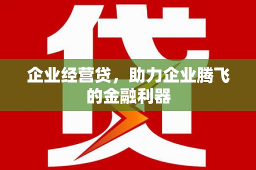 阜宁企业经营贷，助力企业腾飞的金融利器