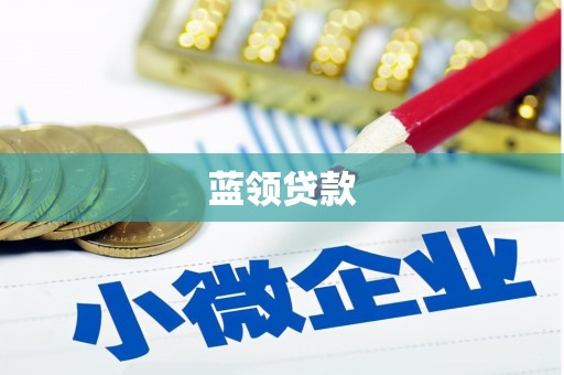 阜宁蓝领贷款