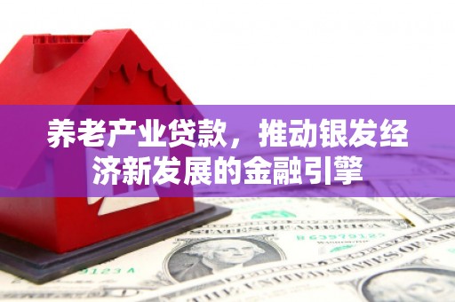 阜宁养老产业贷款，推动银发经济新发展的金融引擎