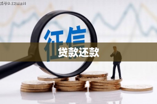 阜宁贷款还款