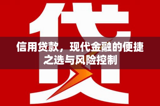 阜宁信用贷款，现代金融的便捷之选与风险控制