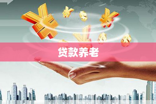 阜宁贷款养老