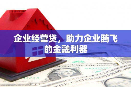 阜宁企业经营贷，助力企业腾飞的金融利器