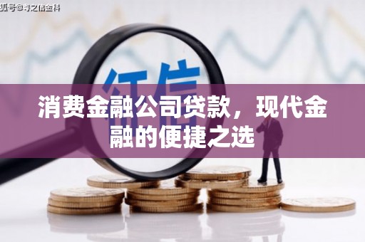 阜宁消费金融公司贷款，现代金融的便捷之选