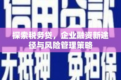 阜宁探索税务贷，企业融资新途径与风险管理策略