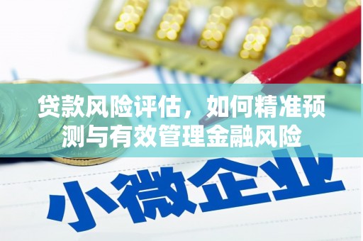 阜宁贷款风险评估，如何精准预测与有效管理金融风险