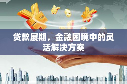 阜宁贷款展期，金融困境中的灵活解决方案