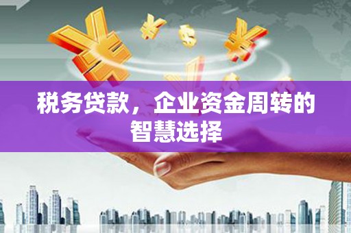 阜宁税务贷款，企业资金周转的智慧选择