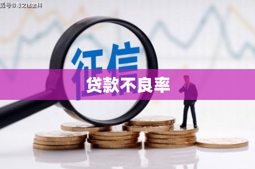 阜宁贷款不良率