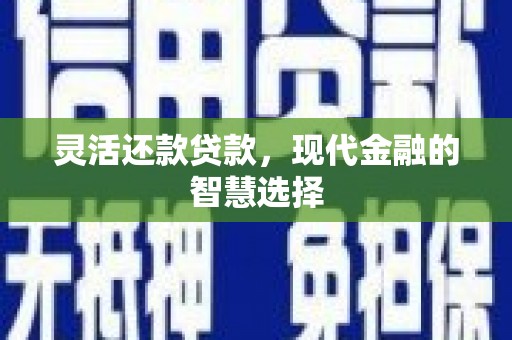阜宁灵活还款贷款，现代金融的智慧选择