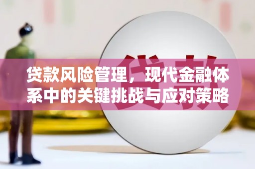 阜宁贷款风险管理，现代金融体系中的关键挑战与应对策略