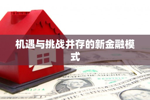 阜宁机遇与挑战并存的新金融模式