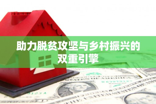 阜宁助力脱贫攻坚与乡村振兴的双重引擎