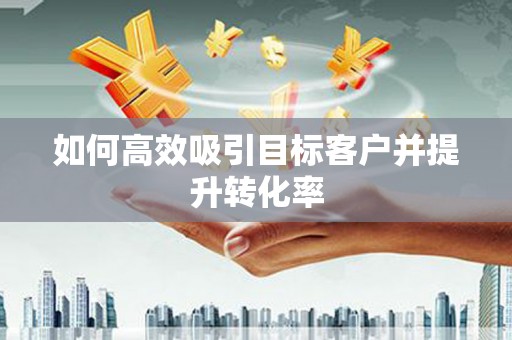 阜宁如何高效吸引目标客户并提升转化率