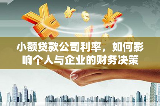 阜宁小额贷款公司利率，如何影响个人与企业的财务决策
