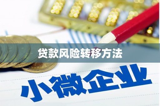 阜宁贷款风险转移方法
