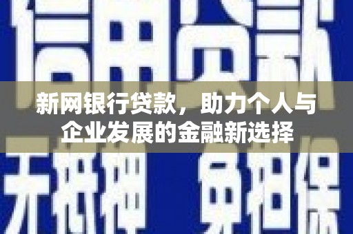 阜宁新网银行贷款，助力个人与企业发展的金融新选择