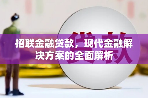 阜宁招联金融贷款，现代金融解决方案的全面解析
