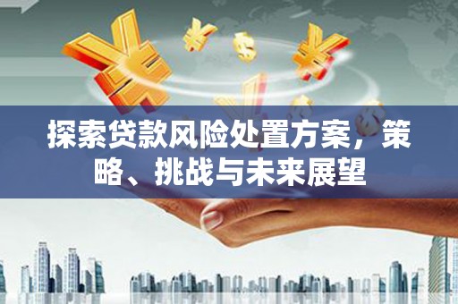 阜宁探索贷款风险处置方案，策略、挑战与未来展望